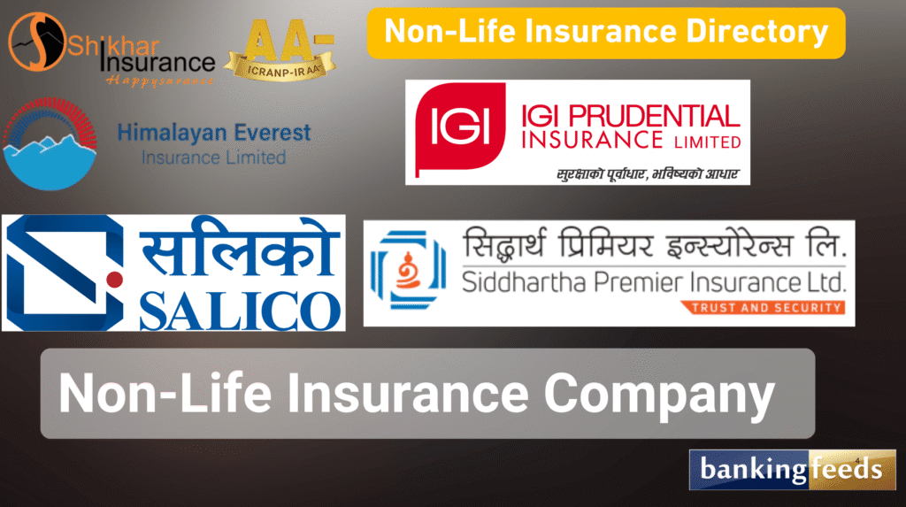 Non-Life Insurance Company in Nepal